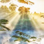 副業を成功に導く！個人事業主としての税マネジメント