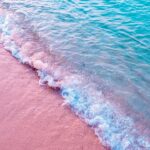 シニア層が増えるリゾートバイトの魅力