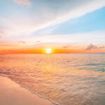 『海街diary』で描かれる家族の物語と心・風景の映像美