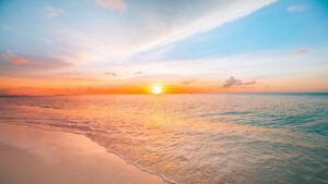 『海街diary』で描かれる家族の物語と心・風景の映像美