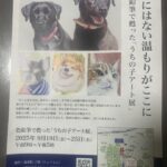 色鉛筆「うちの子アート展」広尾の端華院了聞で開催