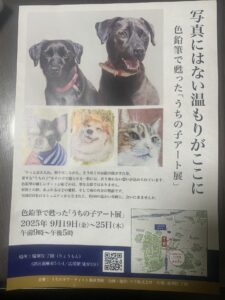 色鉛筆「うちの子アート展」広尾の端華院了聞で開催