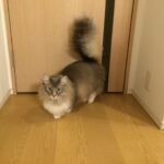 お風呂さんにしよか。