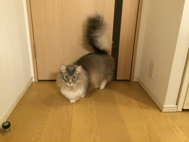 お風呂さんにしよか。