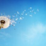 ビジネスにおける性善説と性悪説の賢明な活用方法