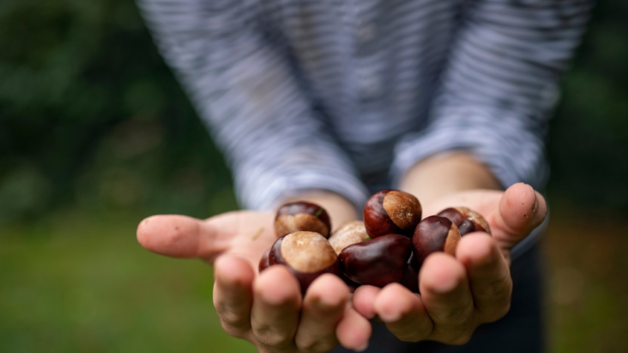 小布施へのアートジャーニー: 北斎を訪ねて