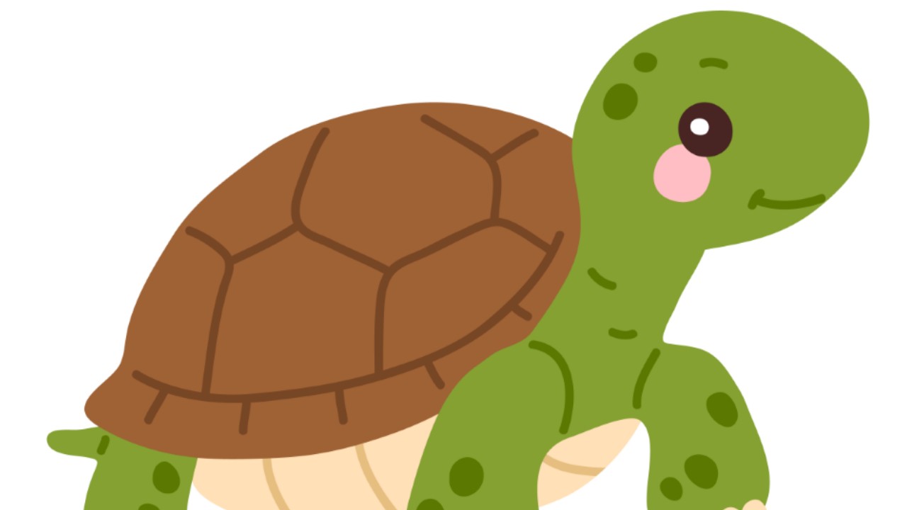 カメさんの道づくり