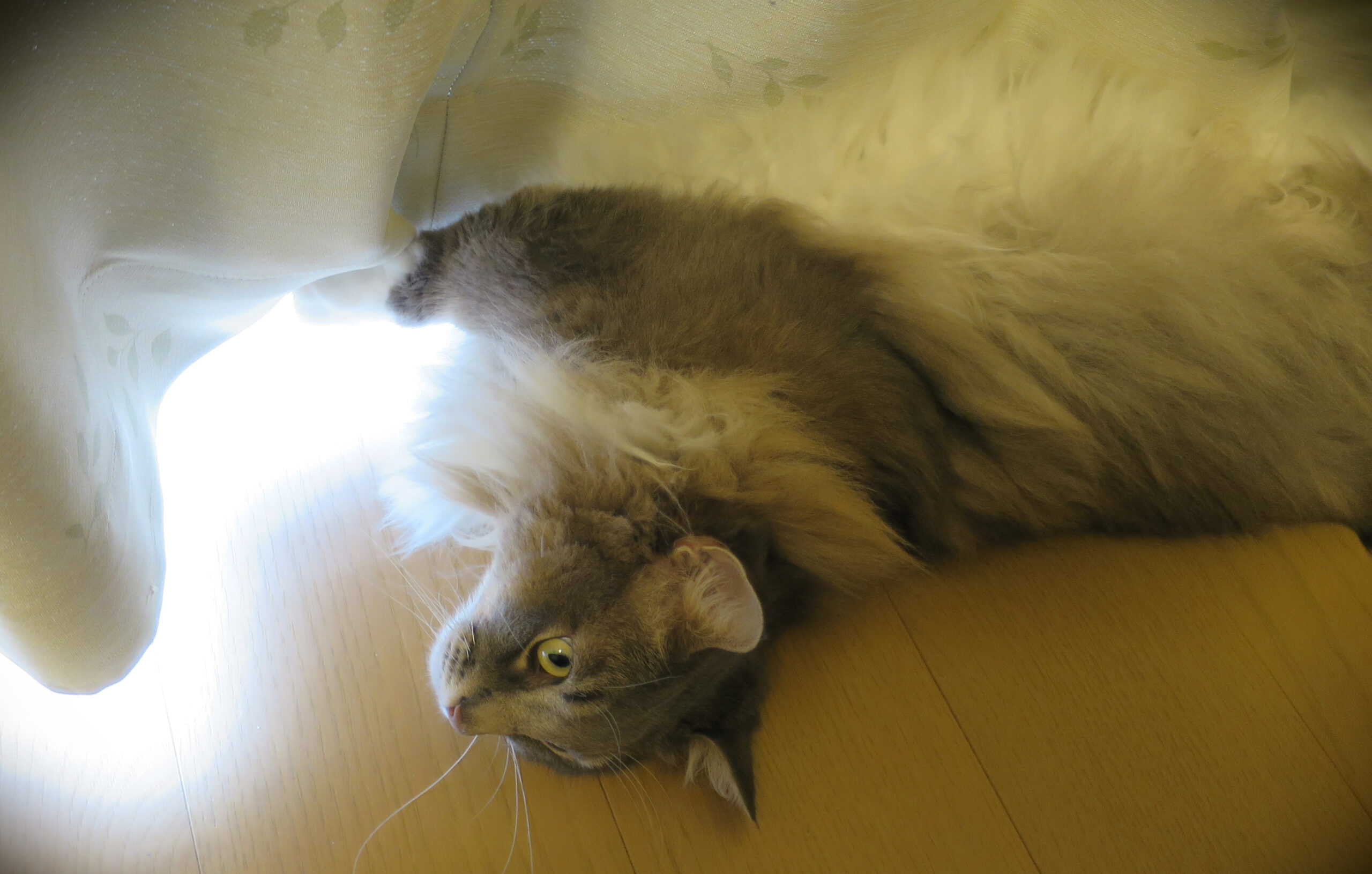 月命日