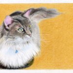 絵を描くということ——ふたつの教室を見て思ったこと