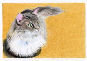 絵を描くということ——ふたつの教室を見て思ったこと