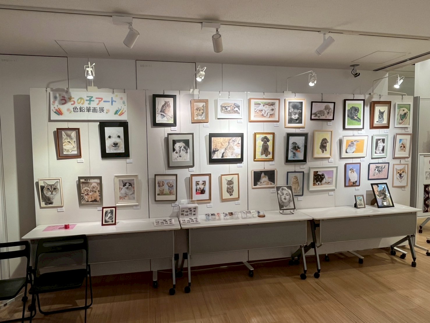 見る側から、見られる側へ