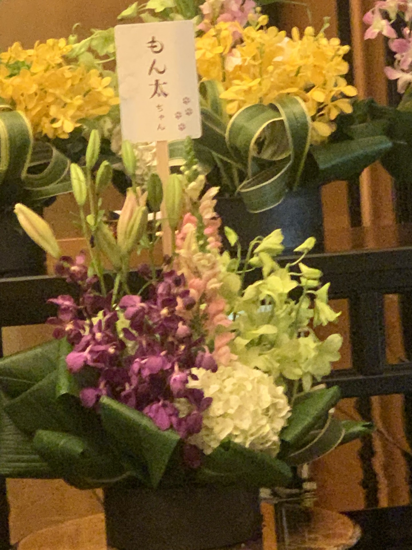 もん太と一緒に、祈りの場所へ