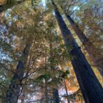 「知ること、感じることの楽しさ」