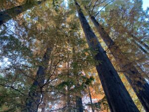 「知ること、感じることの楽しさ」