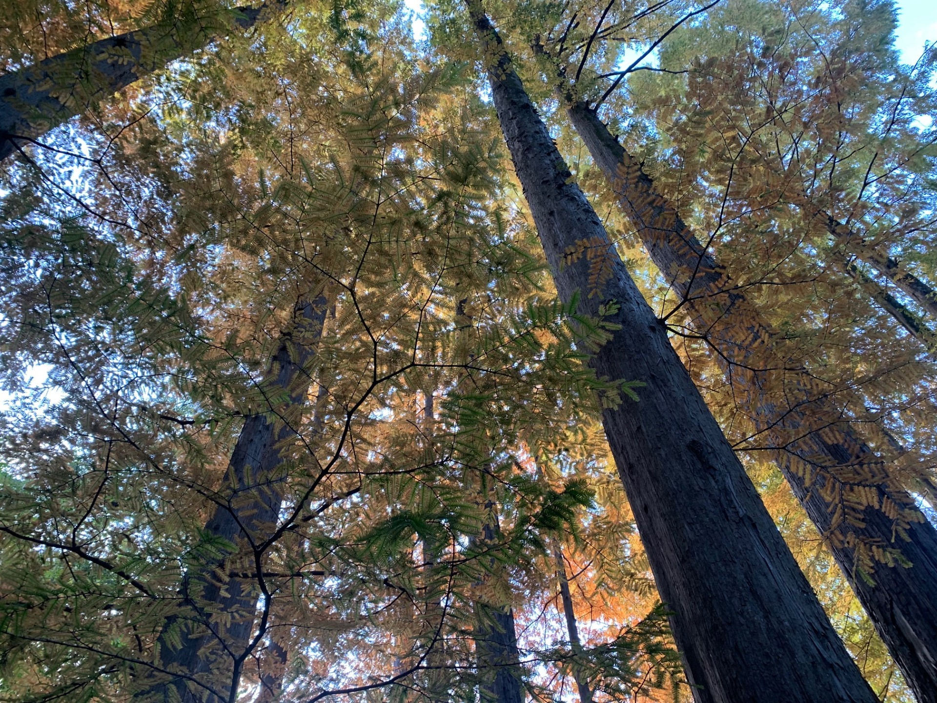 「知ること、感じることの楽しさ」