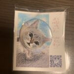 リアルじゃなくても、私の猫