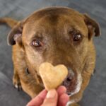 家計簿の先にあった、甘いひととき