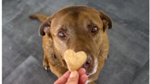 家計簿の先にあった、甘いひととき