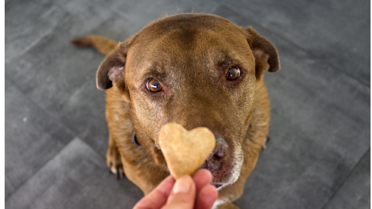 家計簿の先にあった、甘いひととき