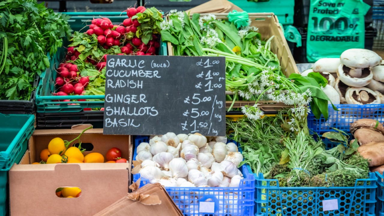 冬の庭先、静けさと野菜と。