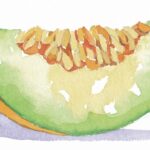 メロンと、保険と、わたしの備え。