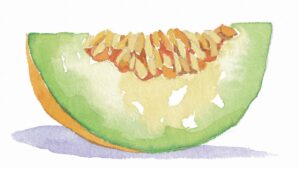 メロンと、保険と、わたしの備え。