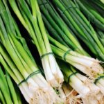 小ねぎと心の余白——仕事帰りの電車でふと思ったこと