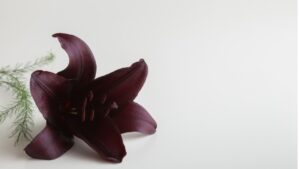 久米宏さんを偲んで──子ども時代のテレビと、今思うこと