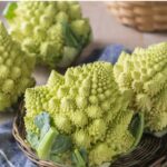 「部屋が整うと、食卓も整う」