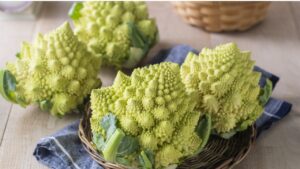 「部屋が整うと、食卓も整う」