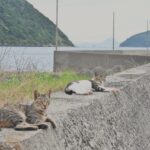 絶賛・有休消化中。