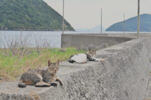 絶賛・有休消化中。
